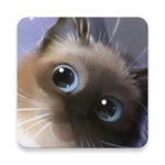 peper kitten android application logo